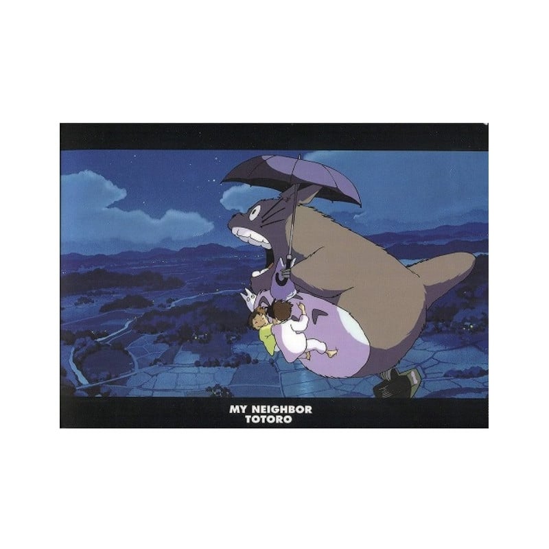 Ghibli - Mon Voisin Totoro - Chemise A4 Promenade noctune - flash vidéo
