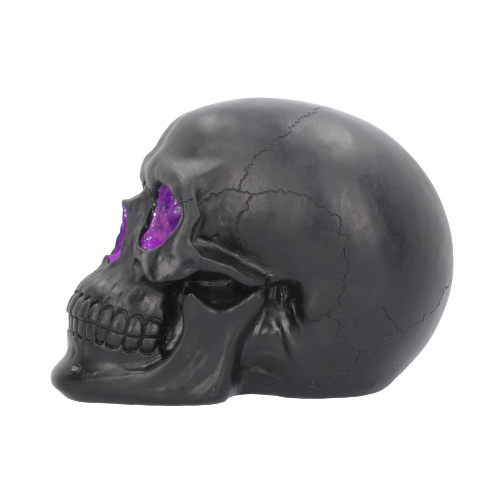 Geode Skull 17cm - flash vidéo