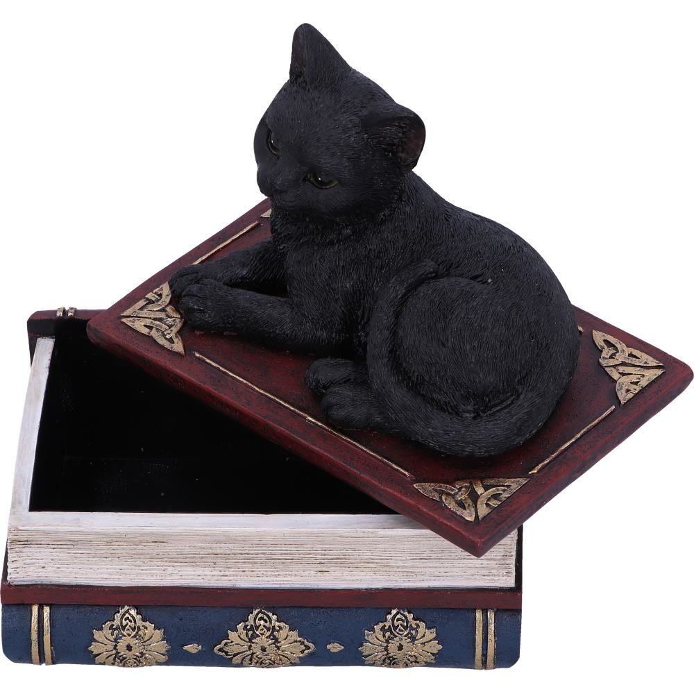 Figurine de collection Salem et boîte à sortilèges 11.7cm - flash vidéo