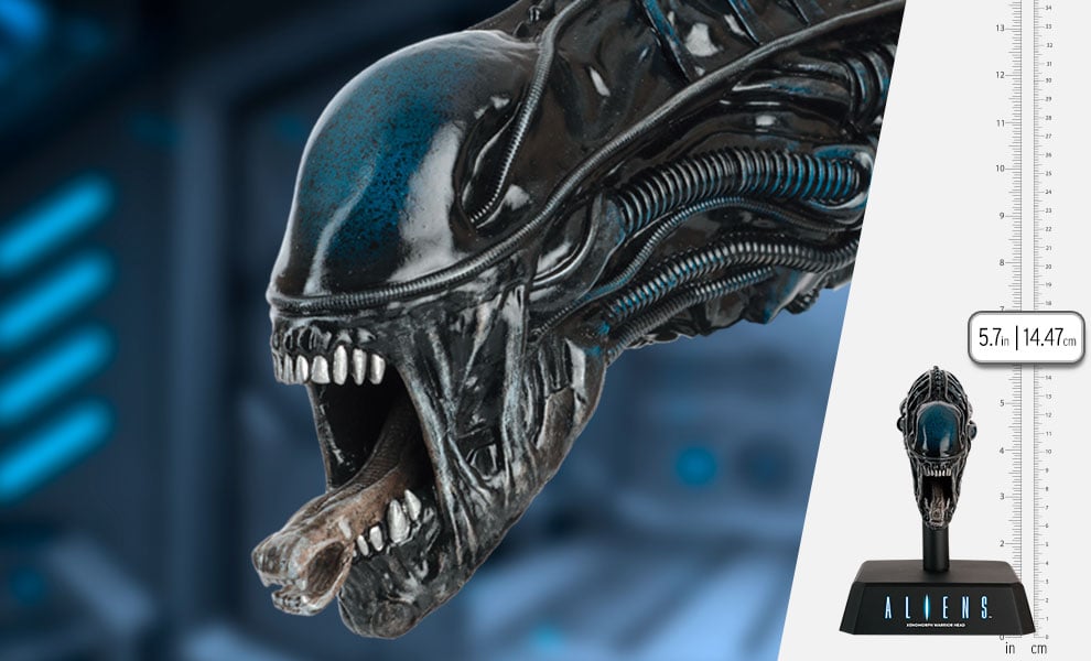 Alien & Predator Museum - Réplique de la tête du Xénomorphe - flash vidéo