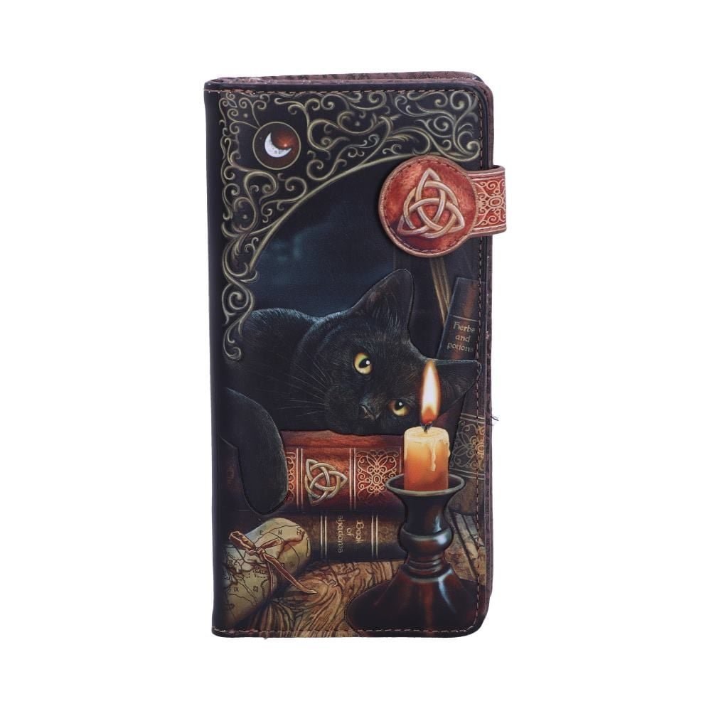 Witching Hour Embossed Purse by Lisa Parker 18.5cm - flash vidéo