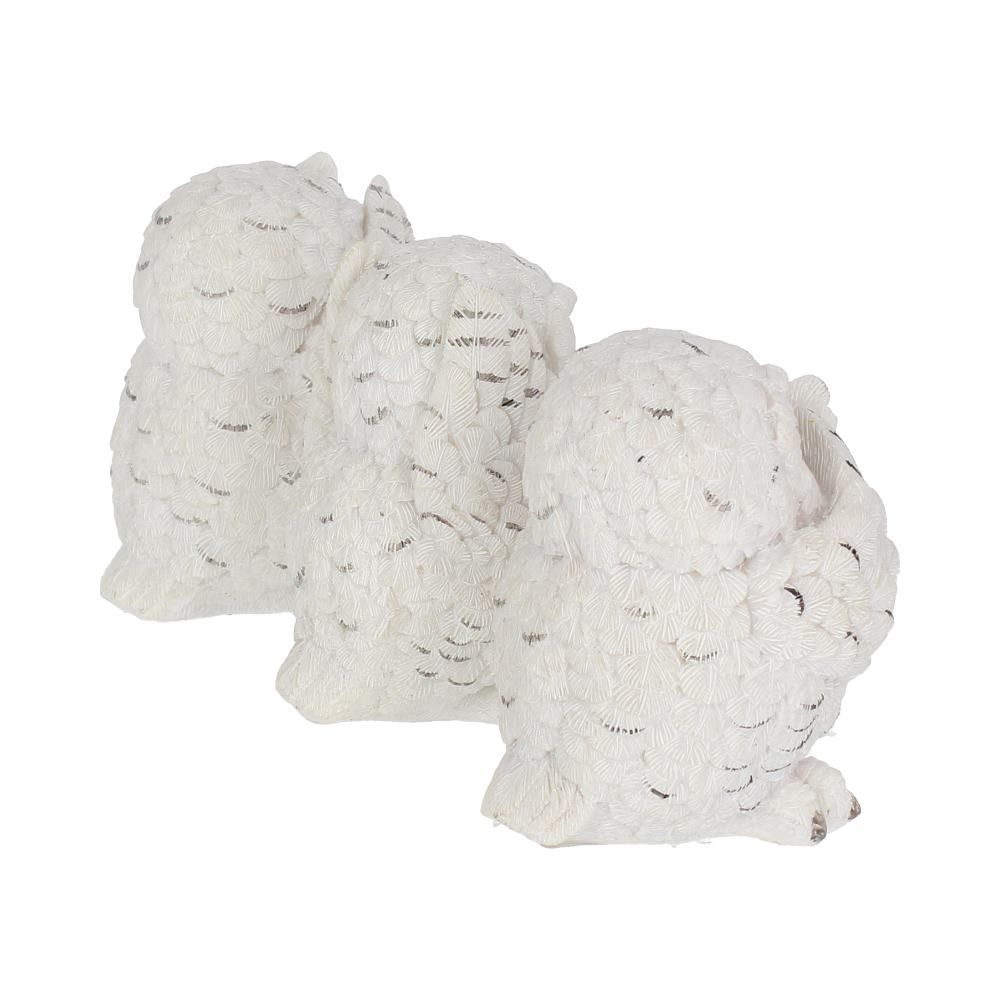 Three Wise Owls 8cm - flash vidéo