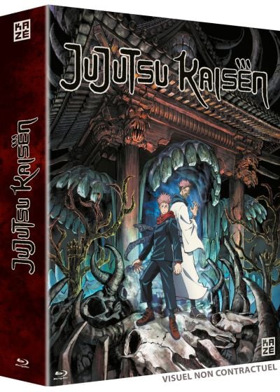 Jujutsu Kaisen - Saison 1 [Blu-ray] - flash vidéo