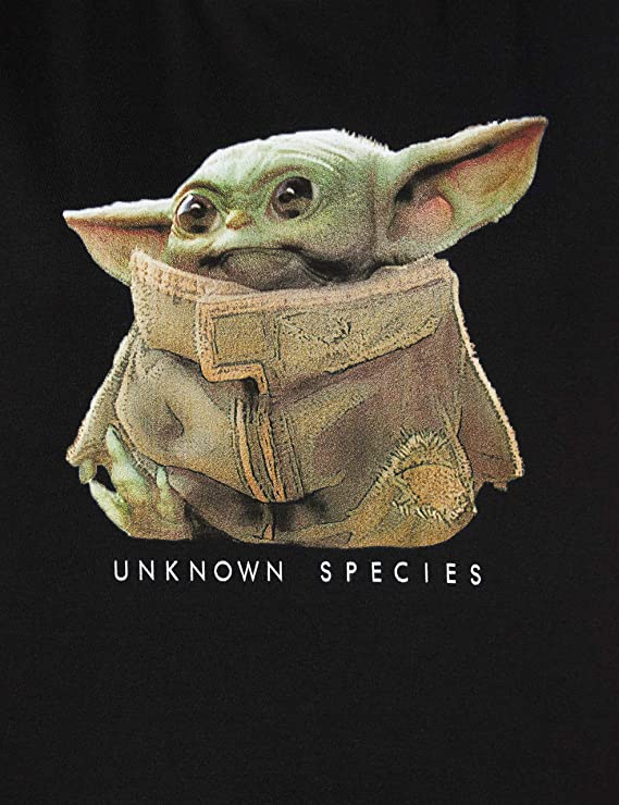 The Mandalorian - T-shirt Noir Long Hommes Logo The Child - XXL - flash vidéo