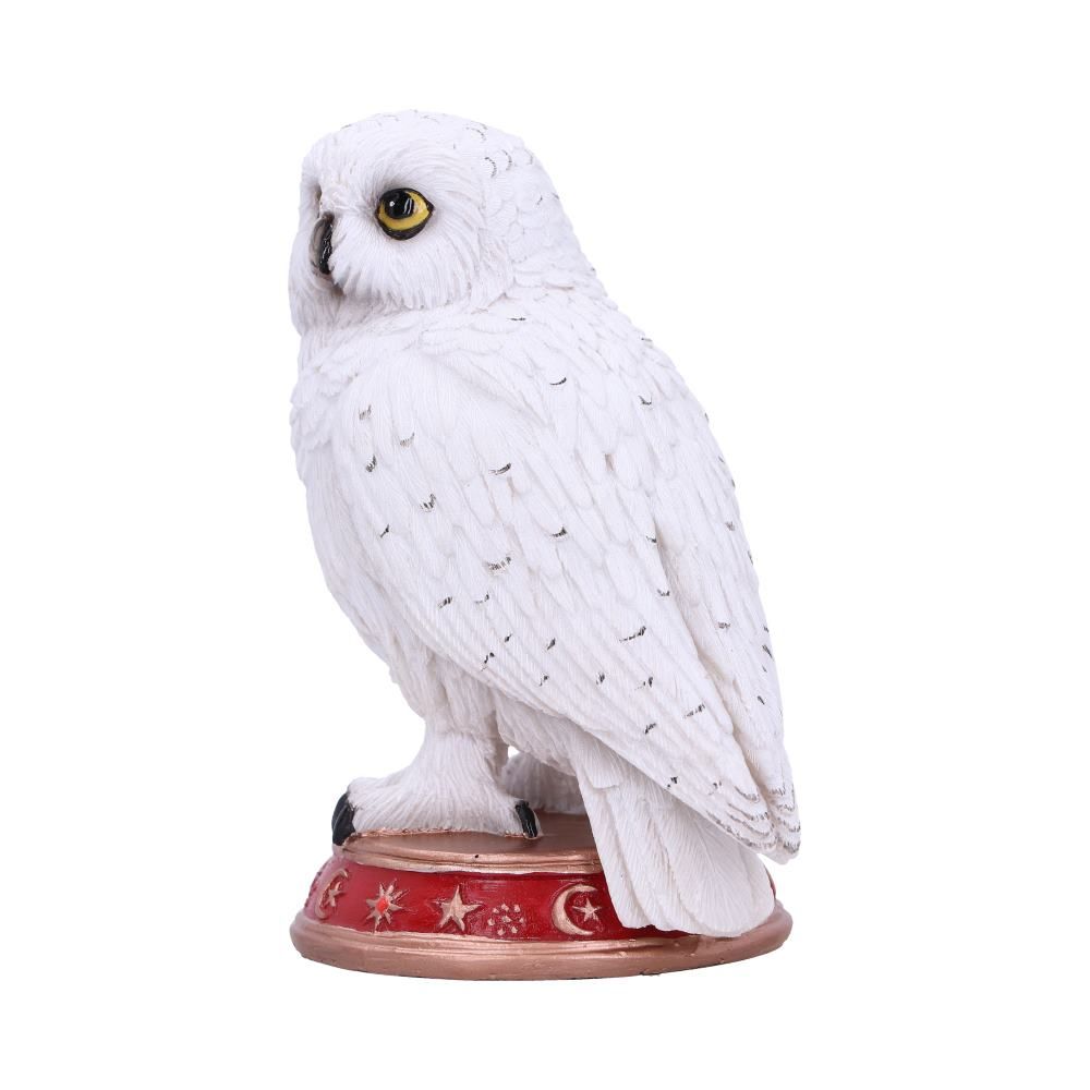 Hibou Familier du Sorcier Figurine 10cm - flash vidéo