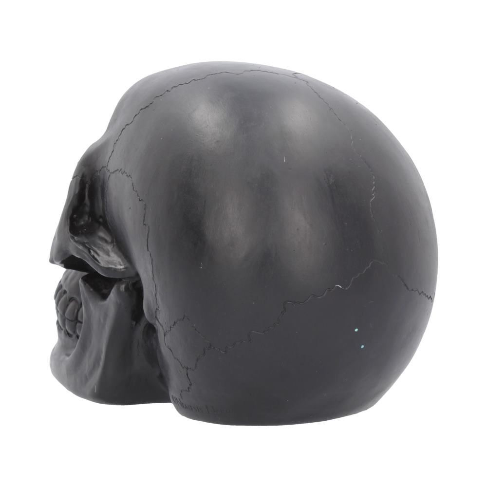 Geode Skull 17cm - flash vidéo