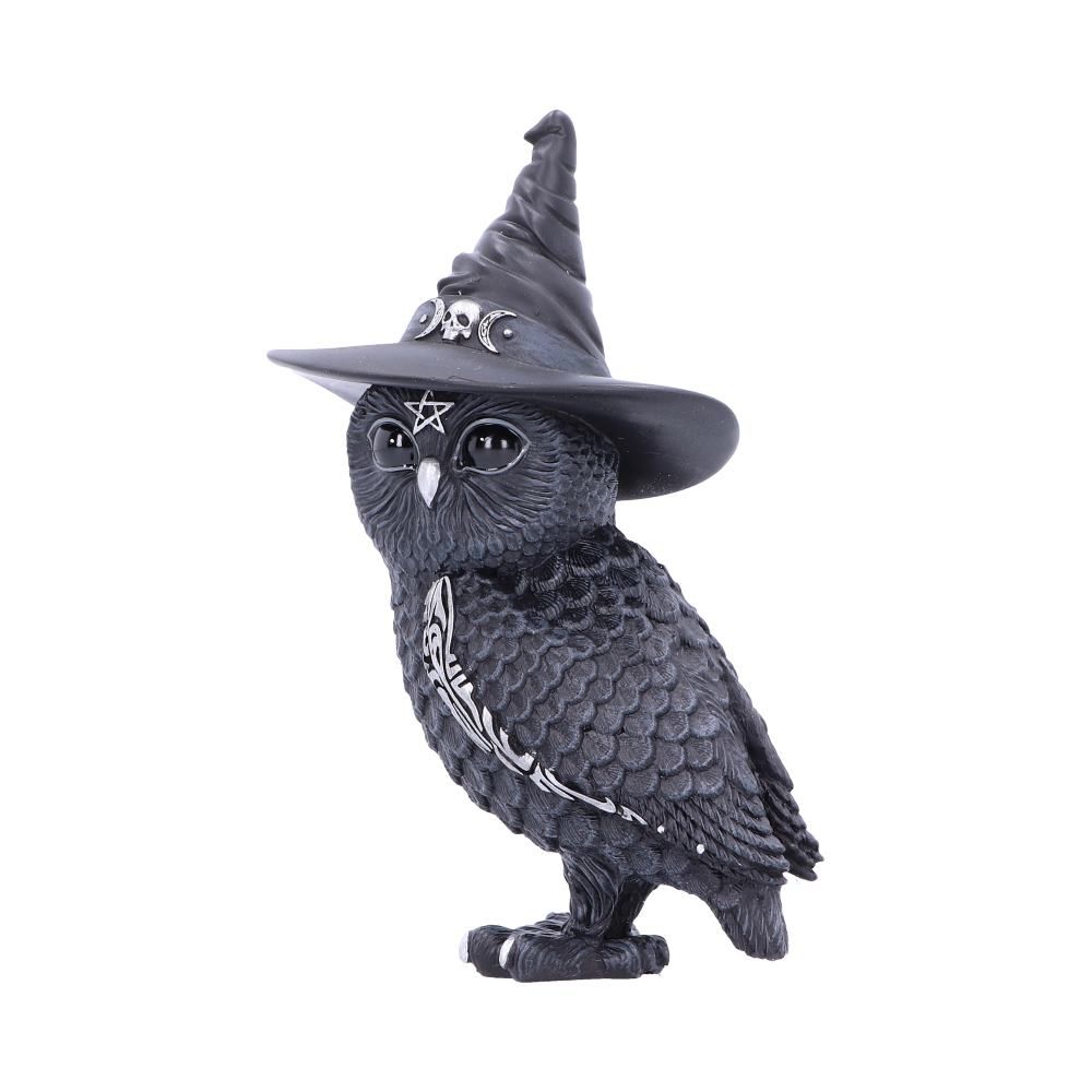 Owlocen - Figurine de hibou occulte avec chapeau de sorcières 13.5cm - flash vidéo