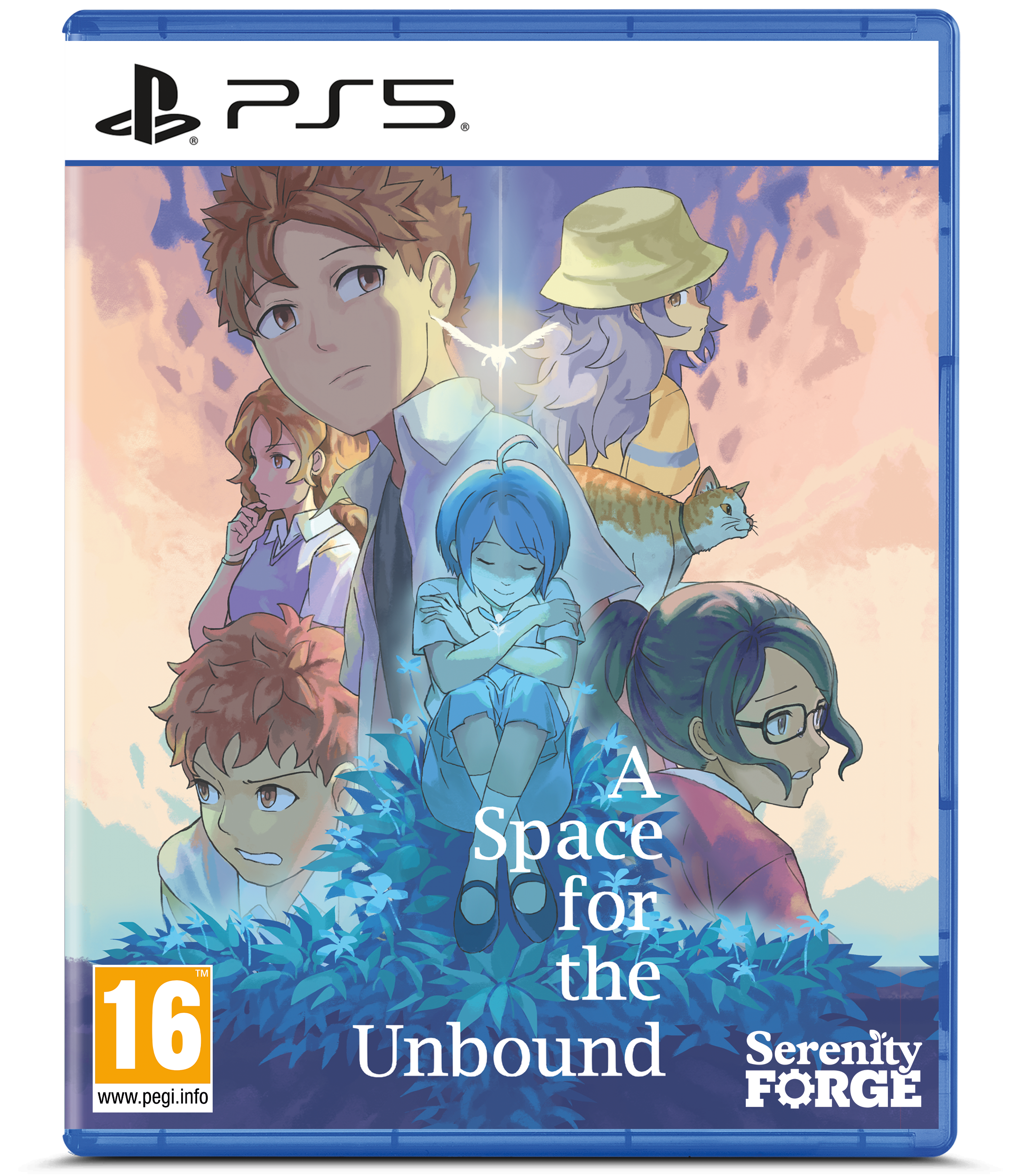 A Space for the Unbound - flash vidéo