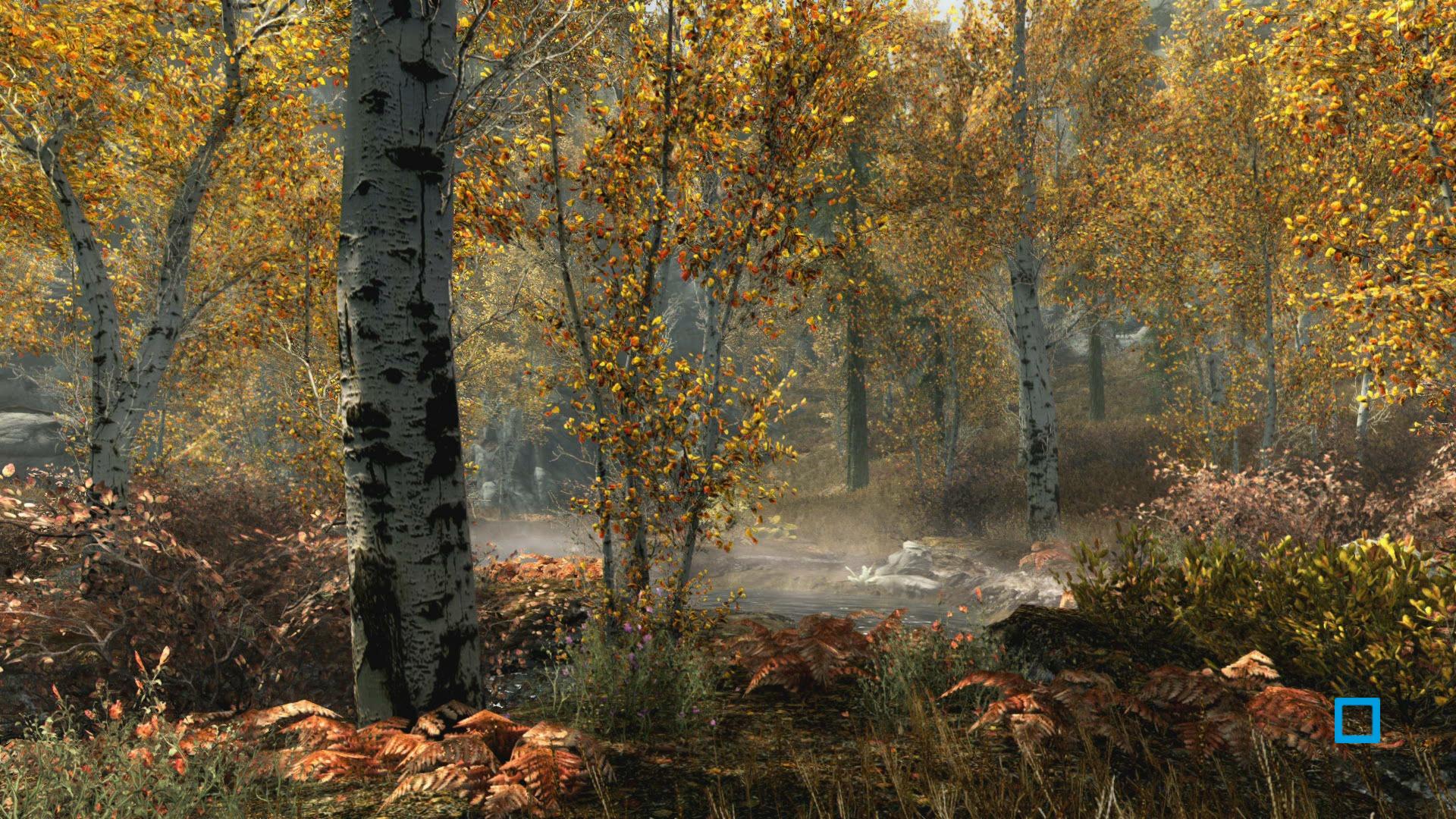 The Elder Scrolls V : Skyrim Special Edition - flash vidéo
