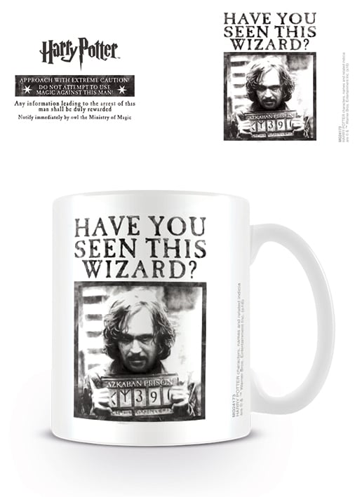 Harry Potter - Recherché Coffee Mug 315ml - flash vidéo