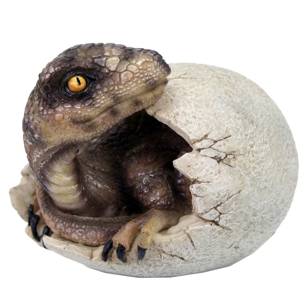 Raptors in a Egg 10cm - flash vidéo