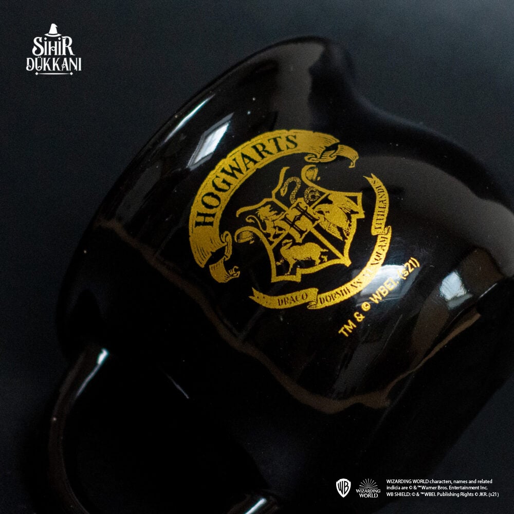 Wizarding World - Harry Potter - Mug Chaudron - Poudlard - flash vidéo