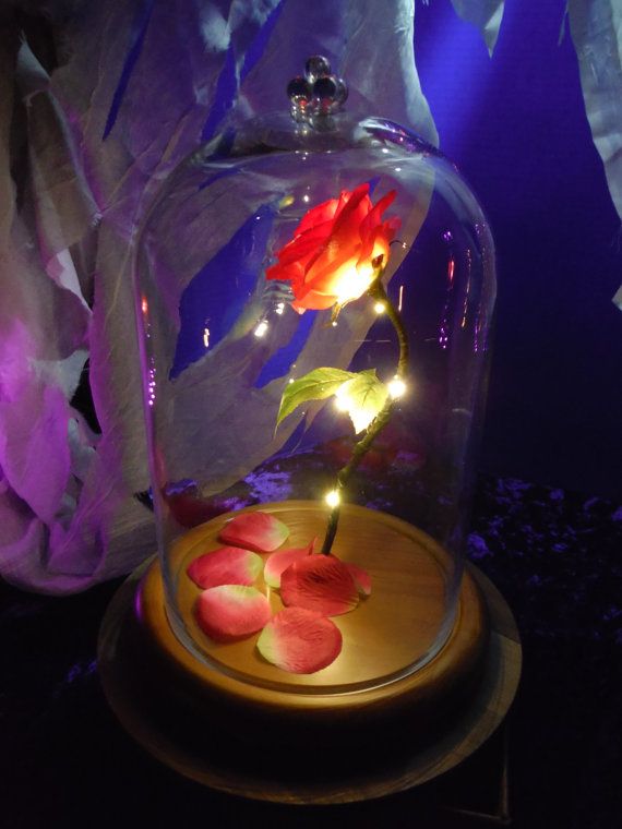 Disney Princess - Enchanted Rose Light - flash vidéo