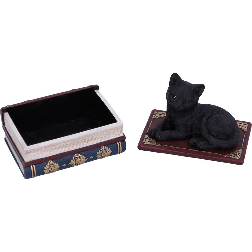 Figurine de collection Salem et boîte à sortilèges 11.7cm - flash vidéo