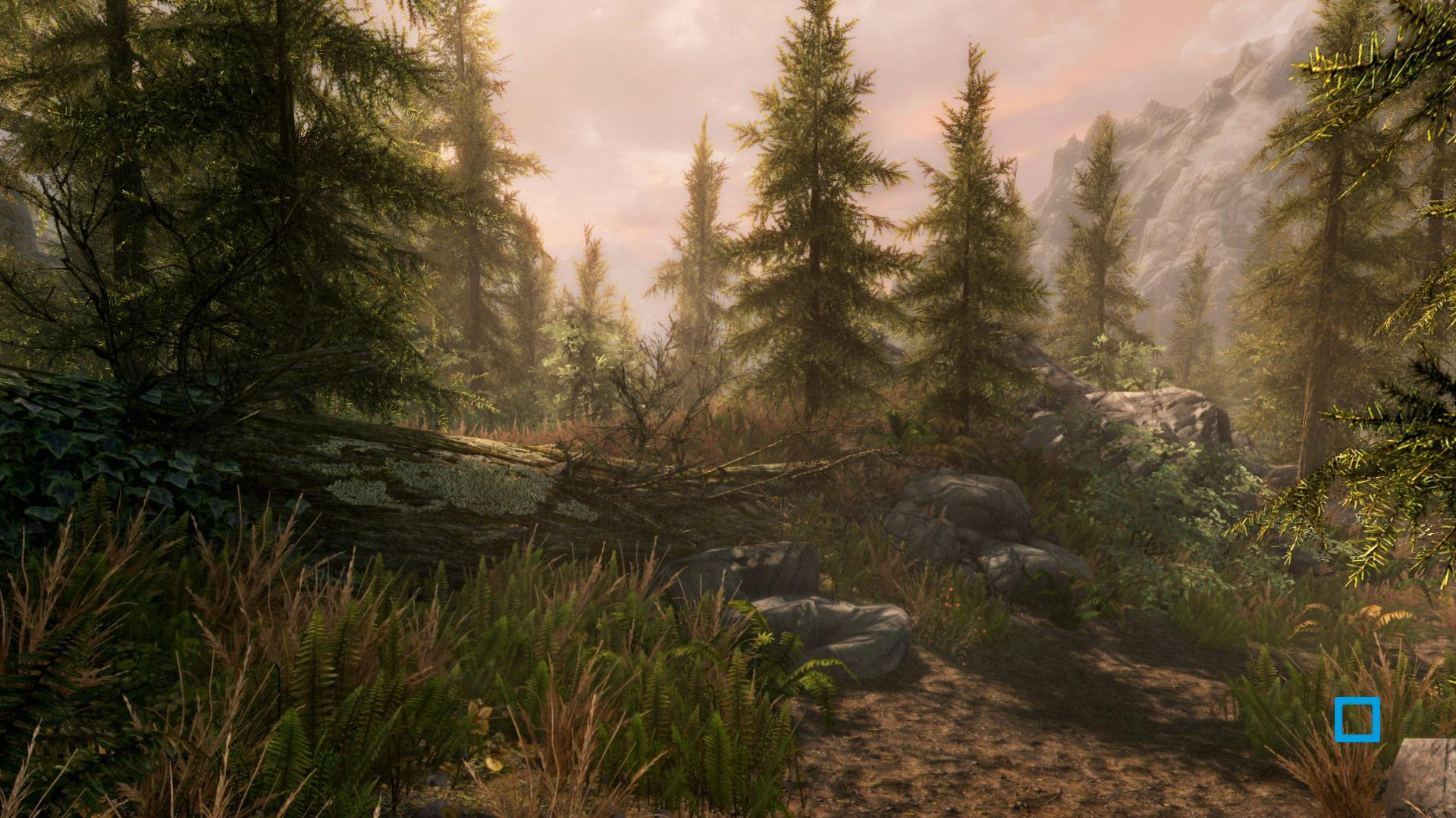 The Elder Scrolls V : Skyrim Special Edition - flash vidéo