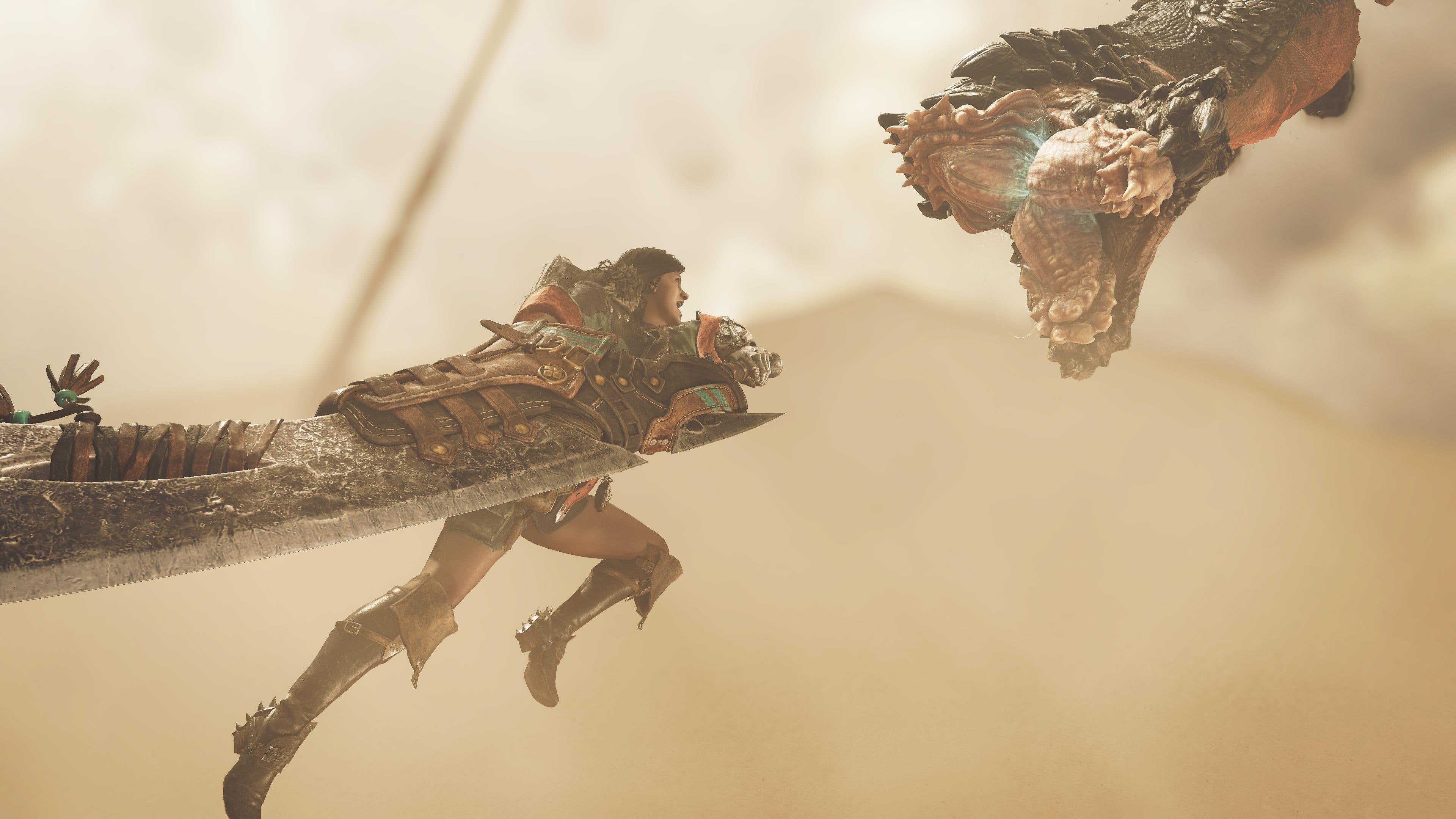 Monster Hunter Wilds - flash vidéo