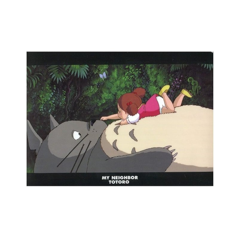 Ghibli - Mon Voisin Totoro - Chemise A4 Sur le ventre - flash vidéo