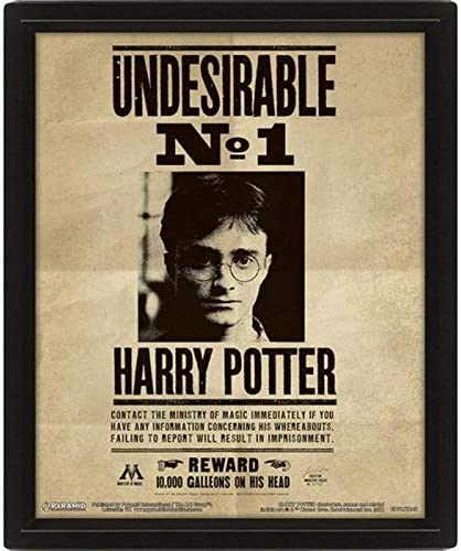 Harry Potter - Affiche lenticulaire 3D Harry Potter et Sirius Black - 28,7 x 23,5cm - flash vidéo