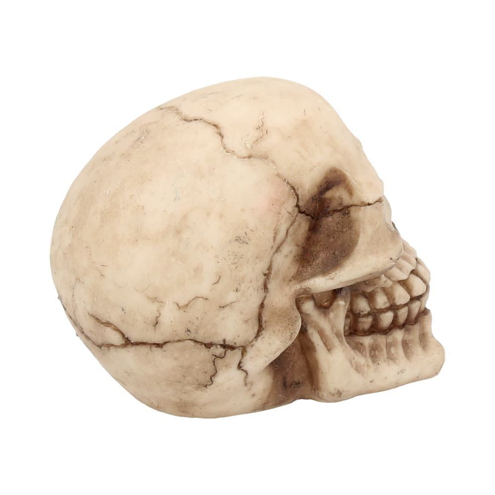 Joker Skull 12cm - flash vidéo