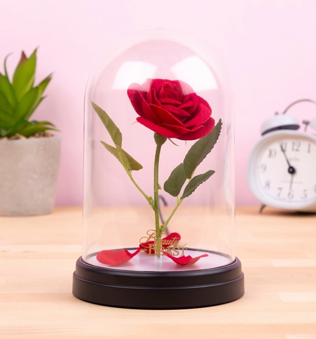 Disney Princess - Enchanted Rose Light - flash vidéo