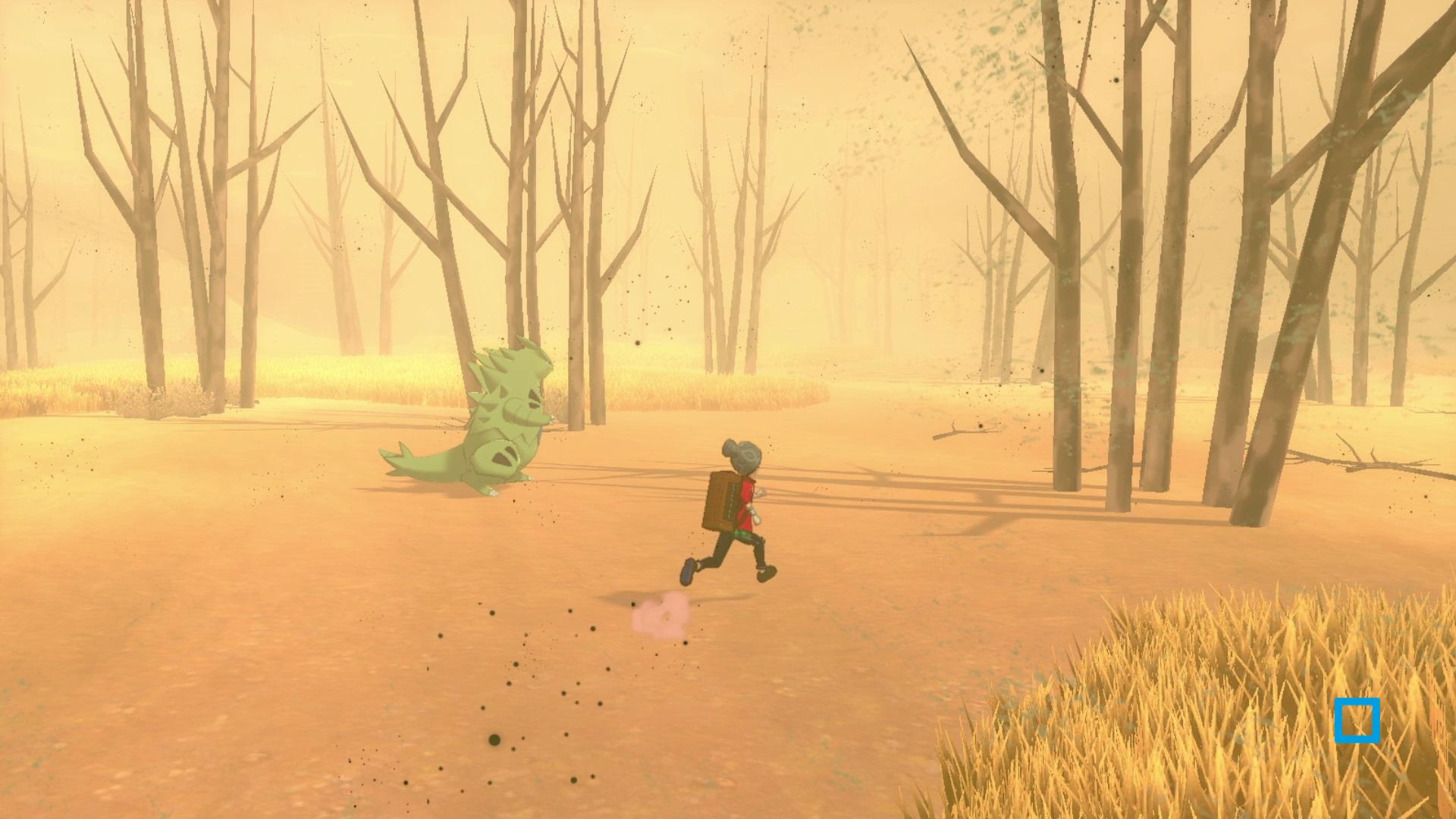 Pokémon Épée - flash vidéo