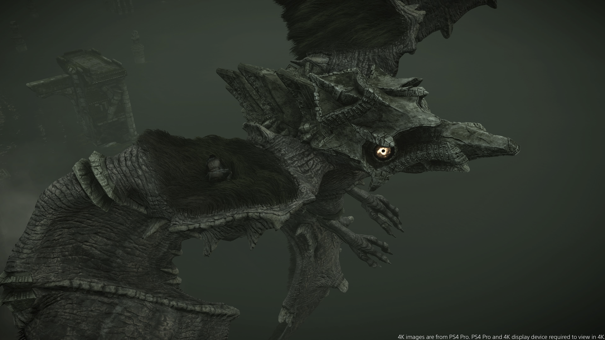 Shadow of the Colossus - flash vidéo