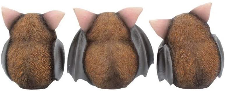 Three Wise Bats 8.5cm - flash vidéo