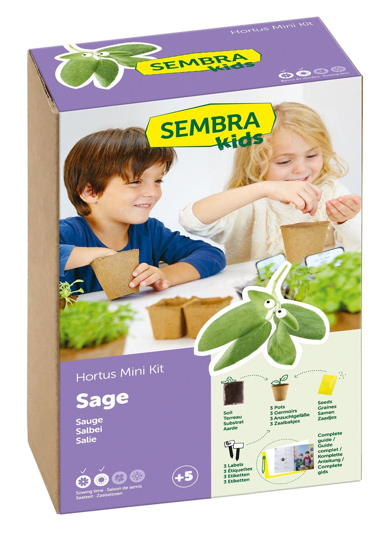 Sembra Kids - Mini Kit Sauge - flash vidéo