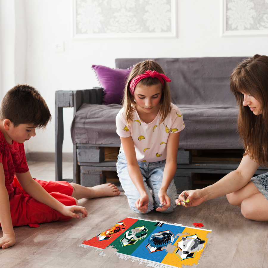 Harry Potter - Maisons Poudlard Puzzle 500 pcs - flash vidéo