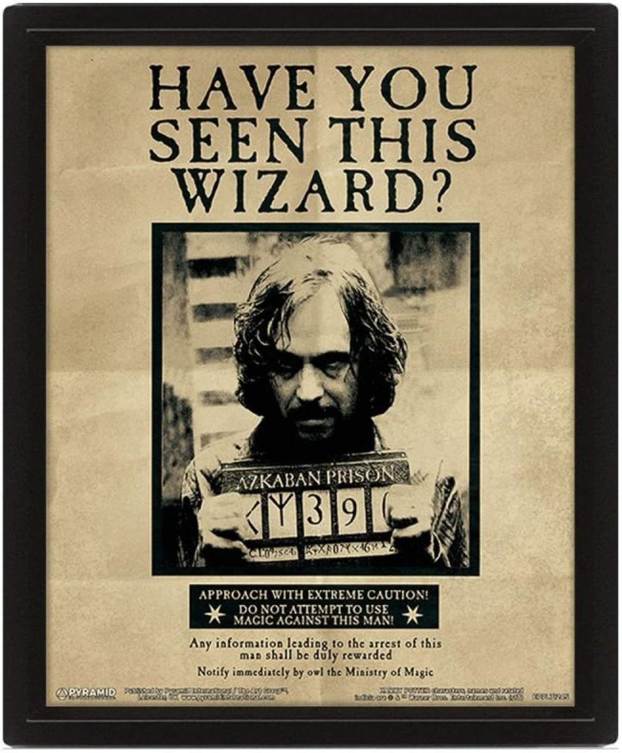 Harry Potter - Affiche lenticulaire 3D Harry Potter et Sirius Black - 28,7 x 23,5cm - flash vidéo