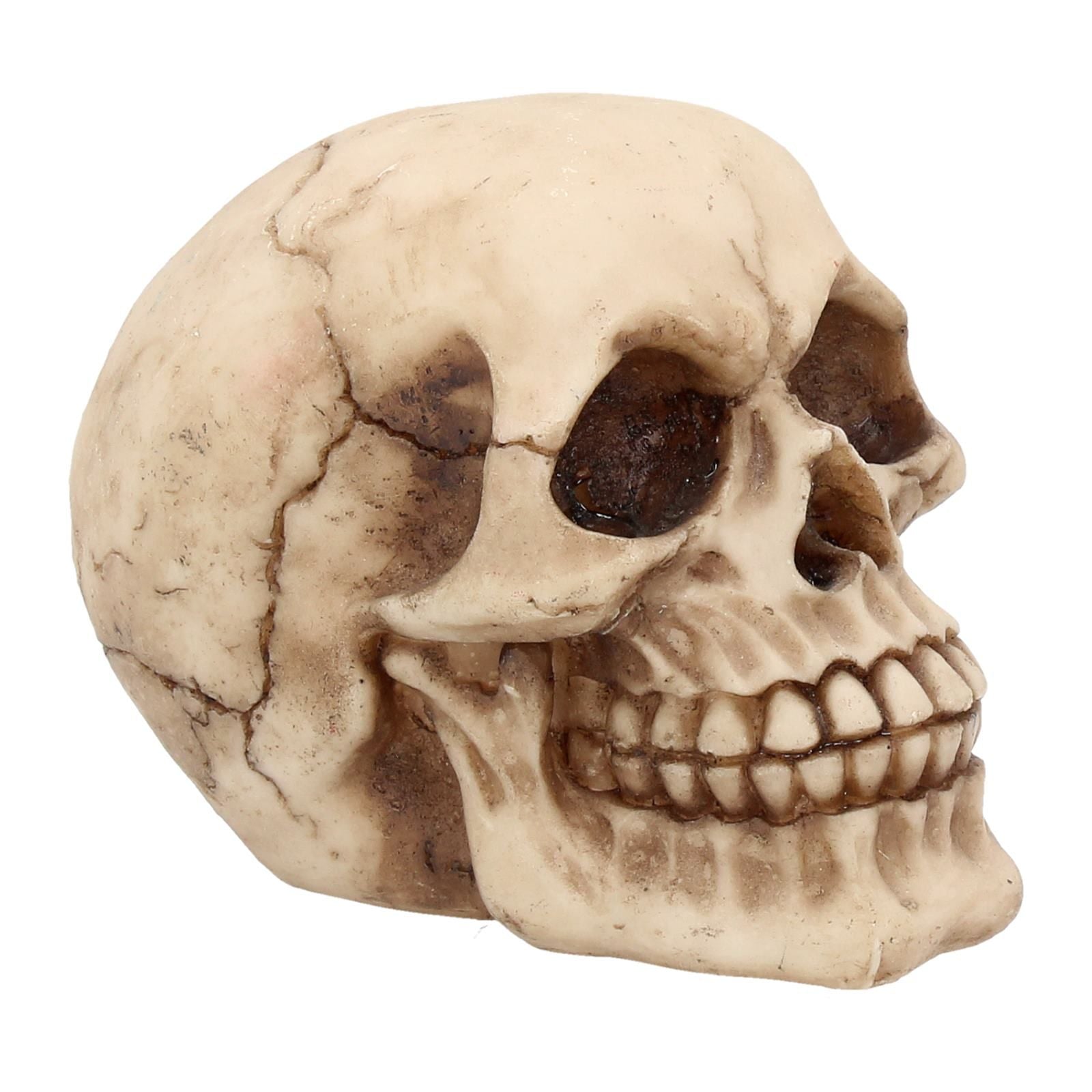 Joker Skull 12cm - flash vidéo