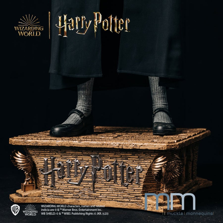 Harry Potter et la Chambre des secrets - Statue taille réelle Hermione Granger (Cape et Base incluse) - flash vidéo
