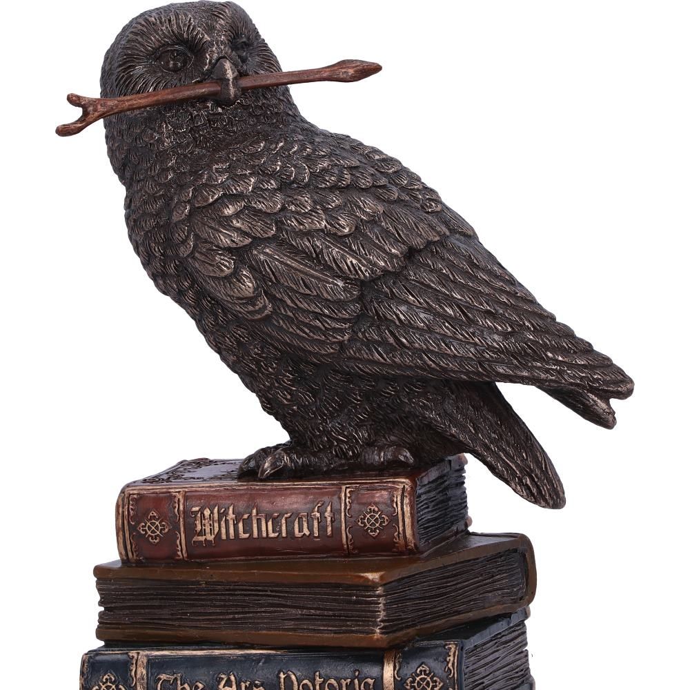 Figurine de collection hibou et livres de sortilèges 14cm - flash vidéo
