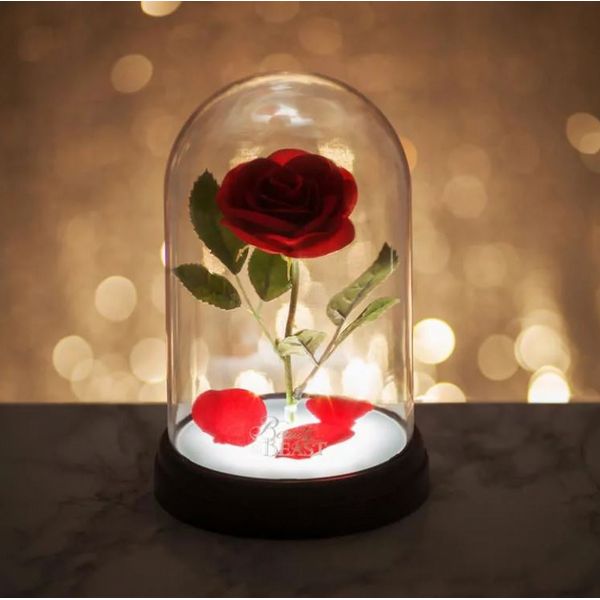 Disney Princess - Enchanted Rose Light - flash vidéo