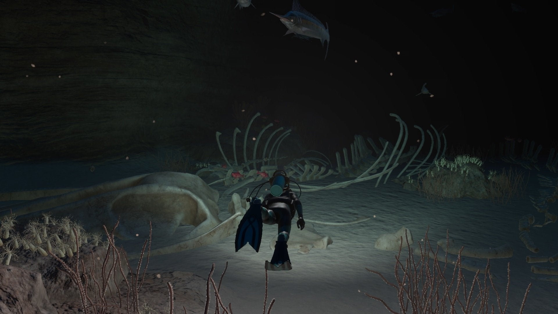 Endless Ocean Luminous - flash vidéo