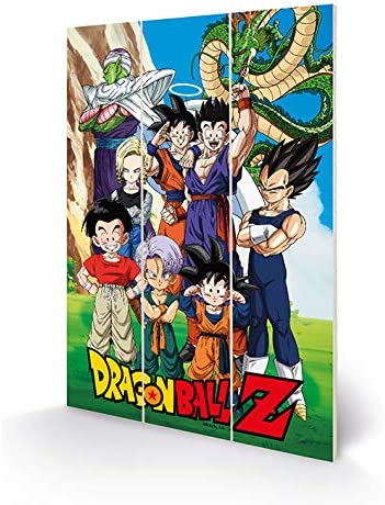 Dragon Ball Z - Des liens incassables Impression sur Bois 20 X 29.5 cm - flash vidéo