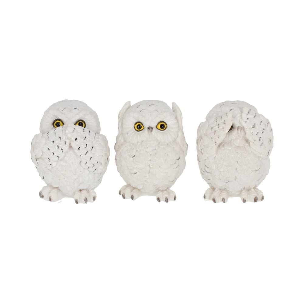 Three Wise Owls 8cm - flash vidéo