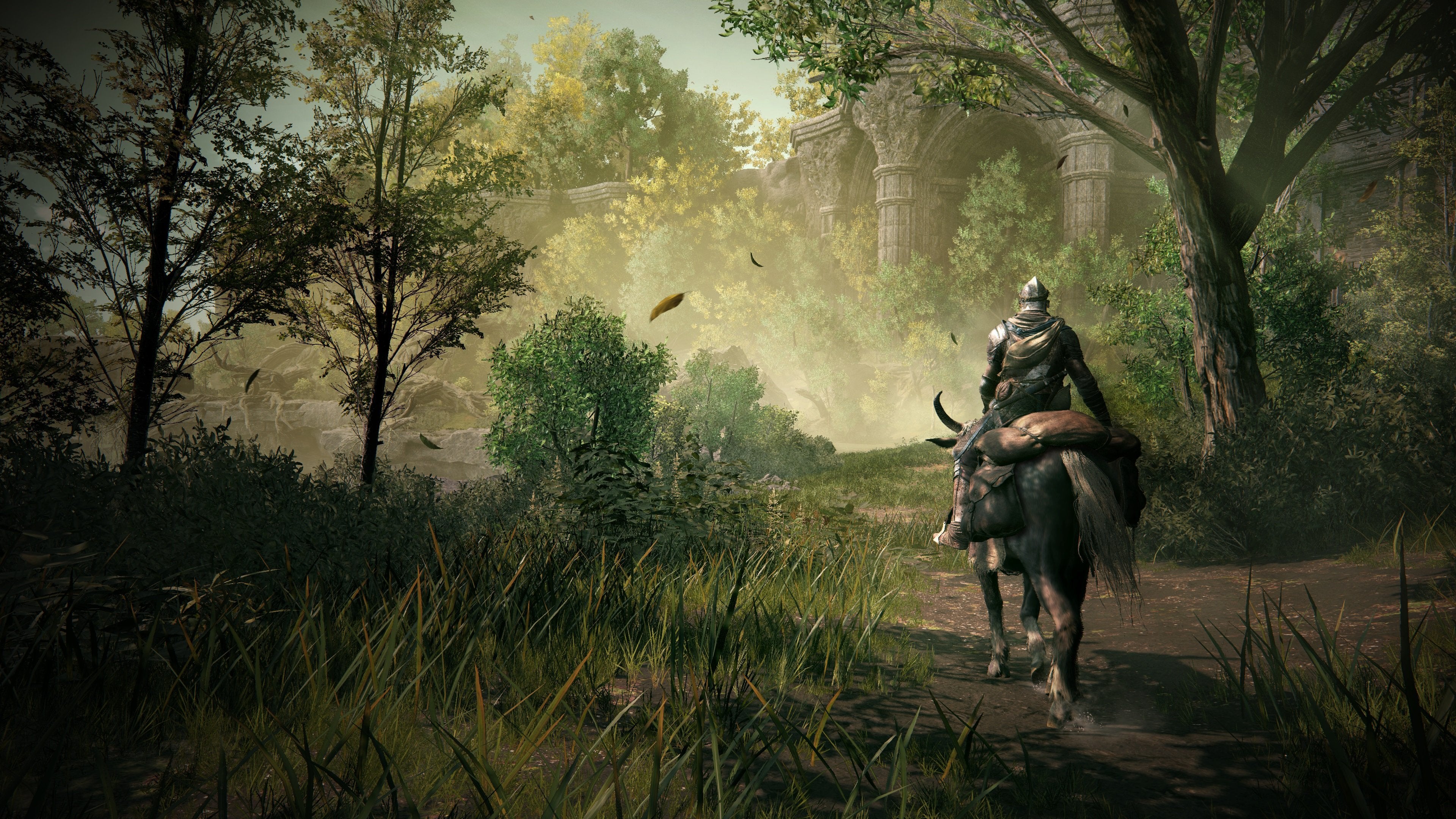 ELDEN RING - Shadow of the Erdtree Edition - flash vidéo