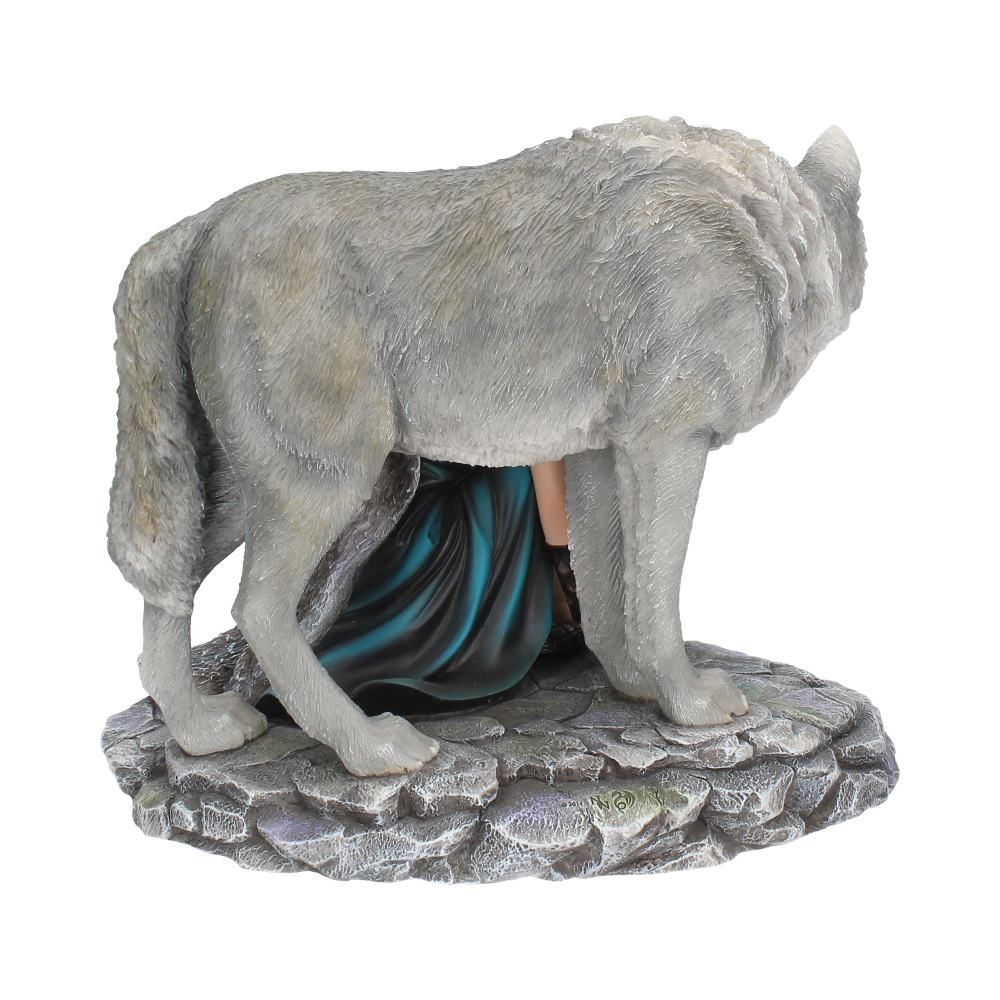 Protector (Limited Edition) Figure 25cm - flash vidéo