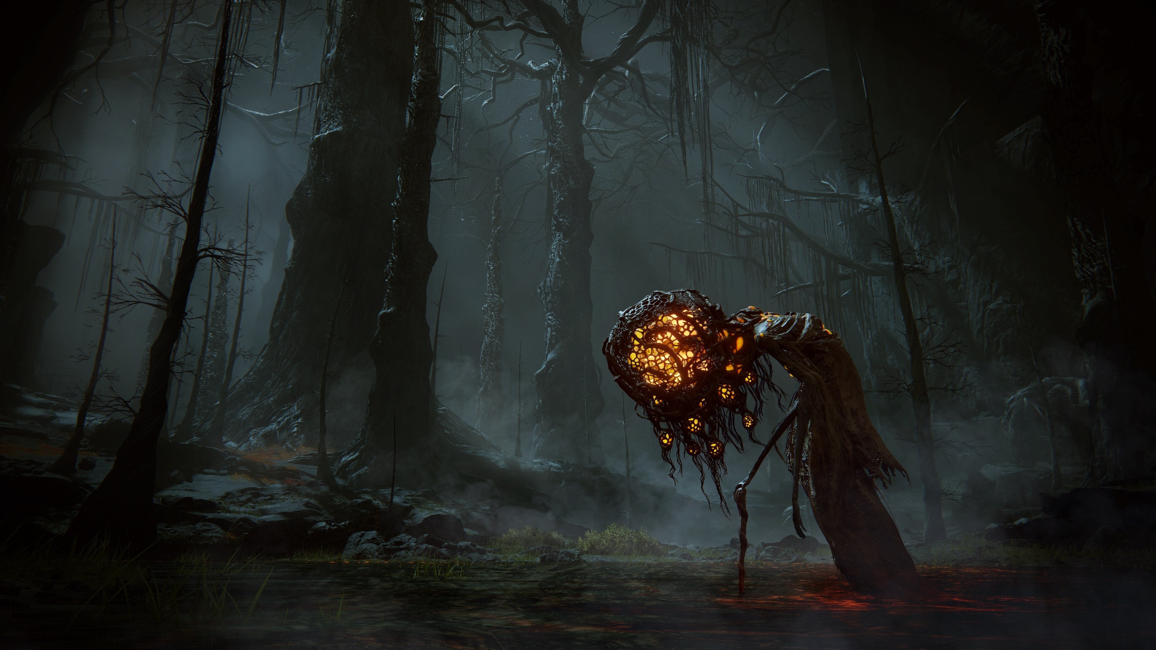ELDEN RING - Shadow of the Erdtree Edition - flash vidéo