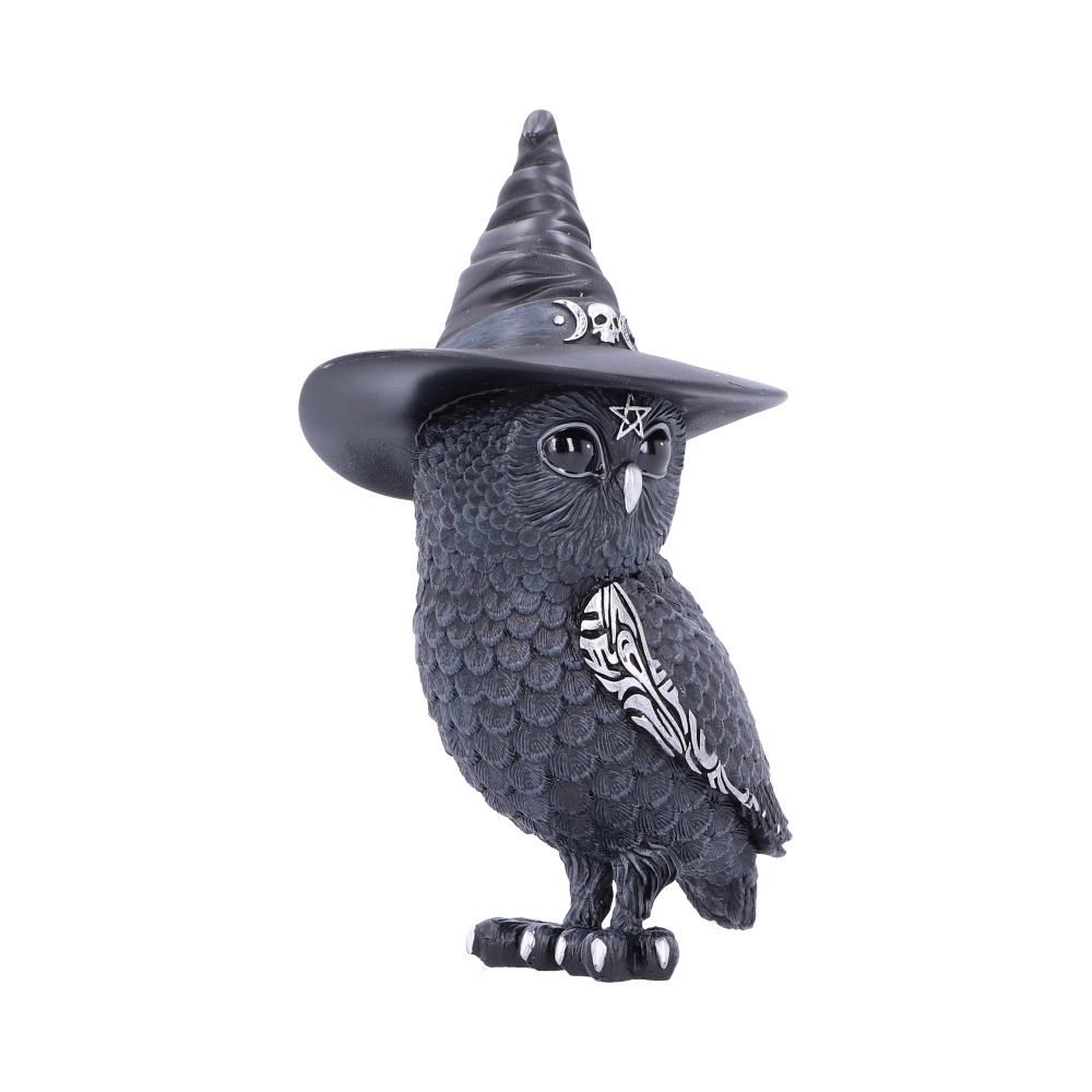 Owlocen - Figurine de hibou occulte avec chapeau de sorcières 13.5cm - flash vidéo