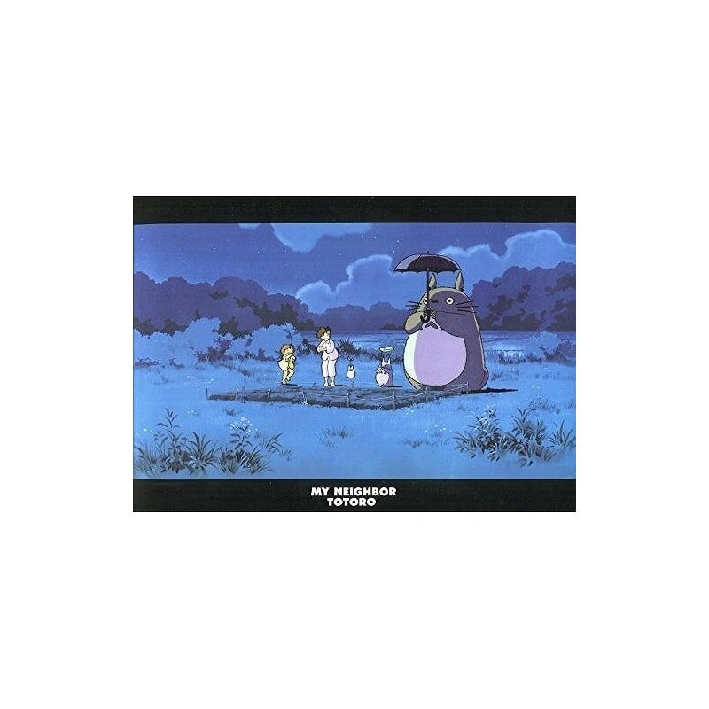 Ghibli - Mon Voisin Totoro - Chemise A4 Nuit - flash vidéo