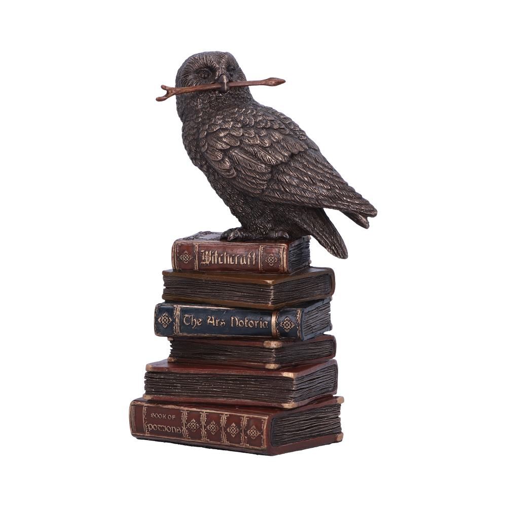 Figurine de collection hibou et livres de sortilèges 14cm - flash vidéo
