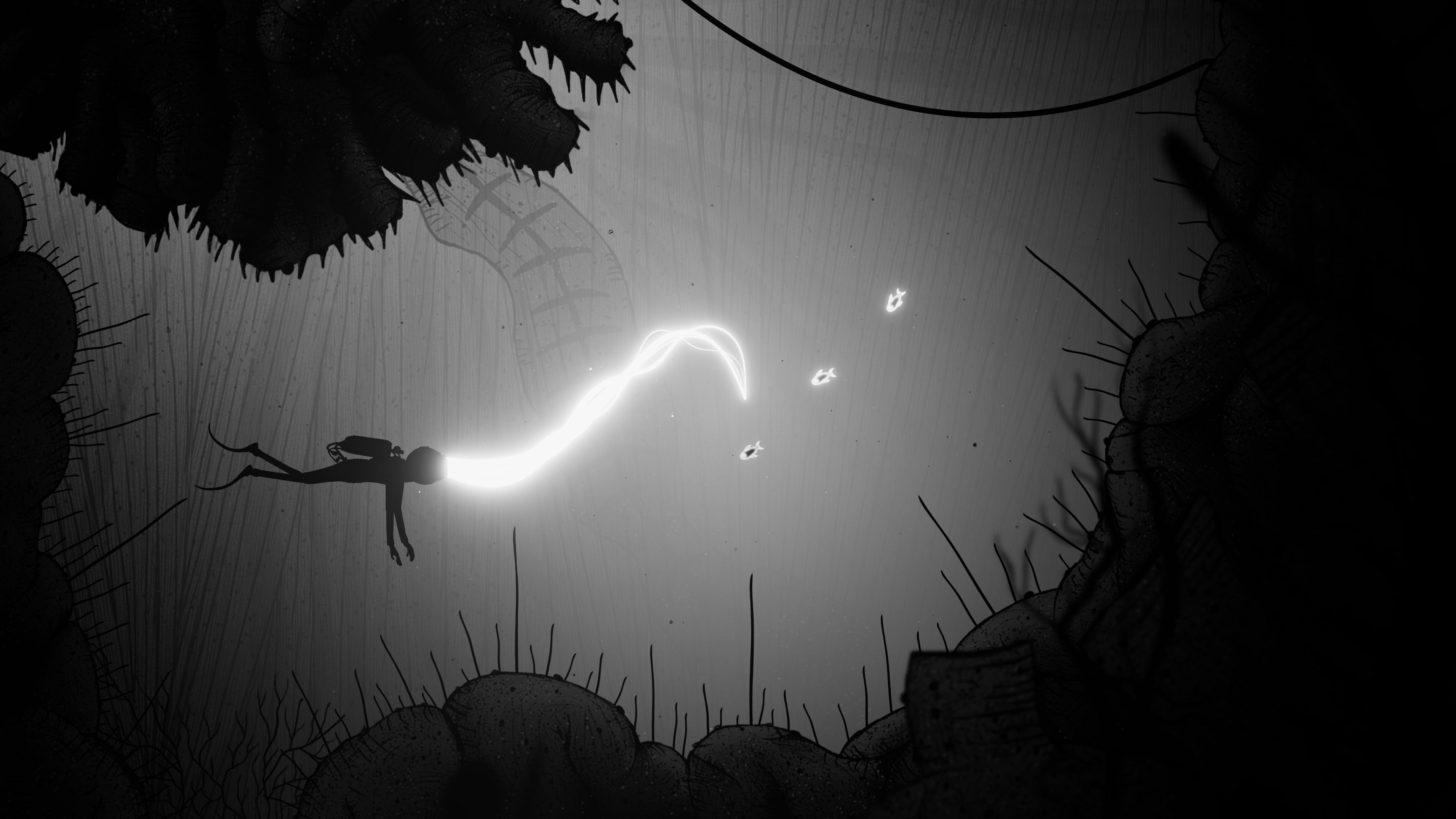 Silt - flash vidéo