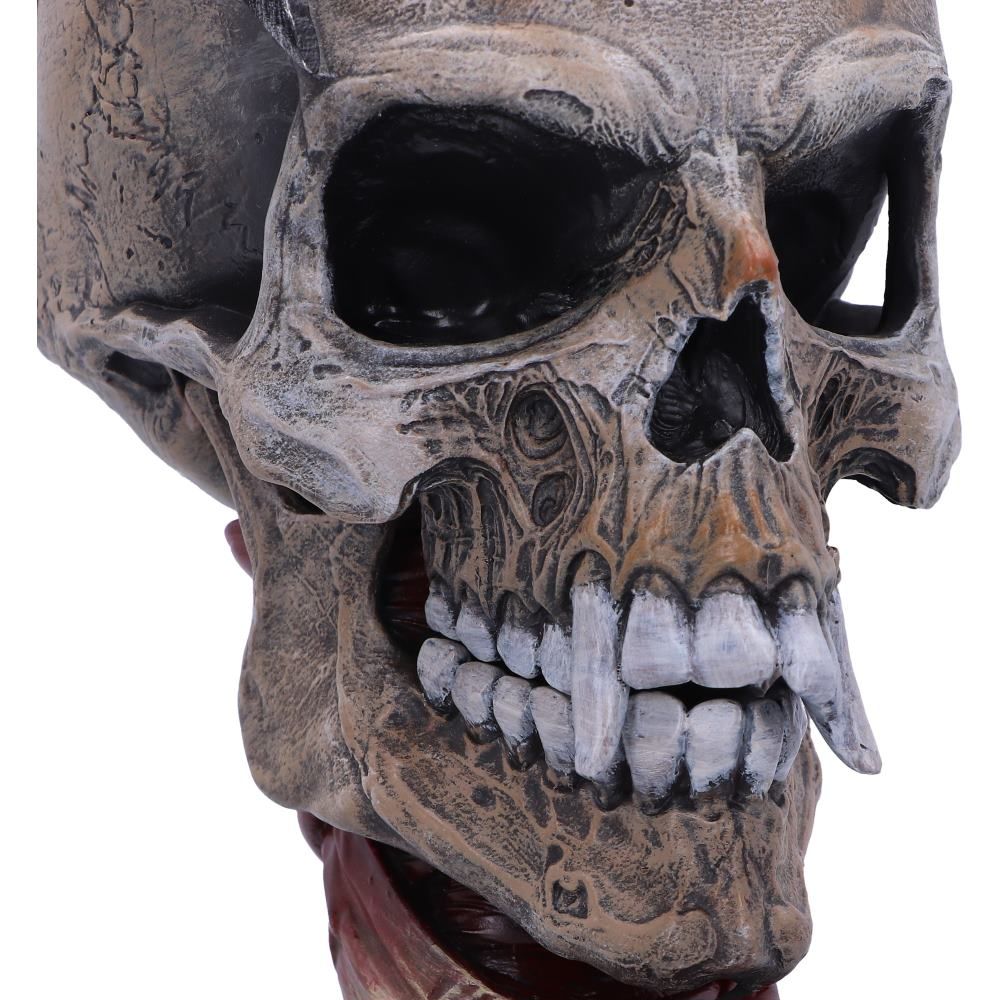 Metallica - Pushead Skull 23.5cm - flash vidéo