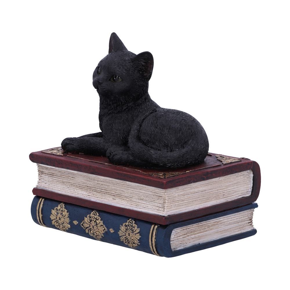 Figurine de collection Salem et boîte à sortilèges 11.7cm - flash vidéo