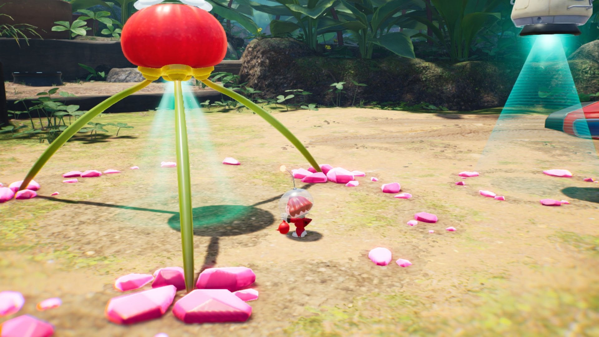 Pikmin 4 - flash vidéo