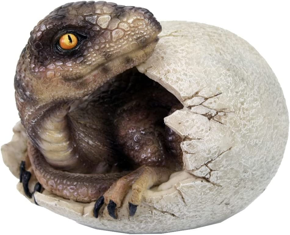 Raptors in a Egg 10cm - flash vidéo