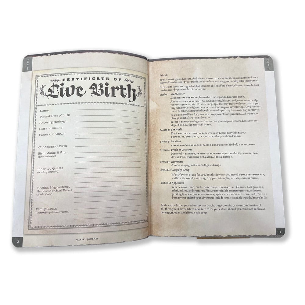 Cahier A5 Player's Journal Sage Green Shield