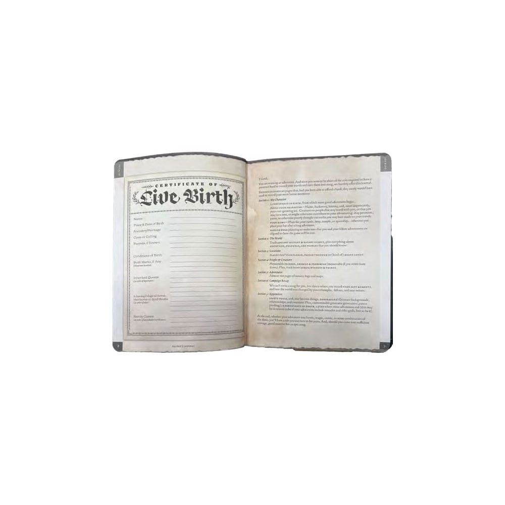 Cahier A5 Player's Journal